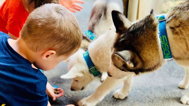 Kennel visit