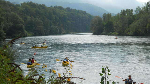 Canoë kayak : descente du Vieux Rhône - La Bivouac 'Eau Lac