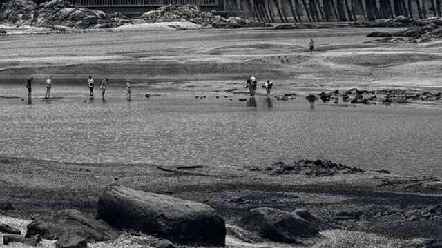 Exposition : The Basilisk, photographies de Yana Kononova
