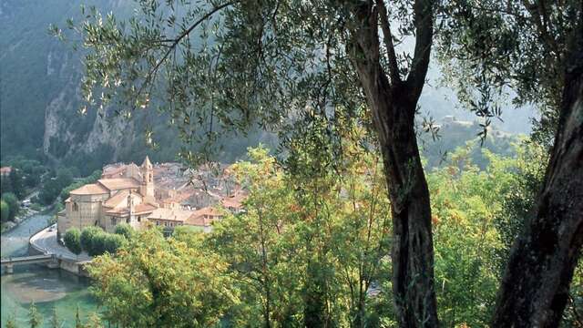 Château des Cachiardy de Montfleury