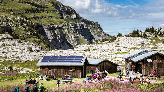 Visite guidée de l'Alpage de Sales