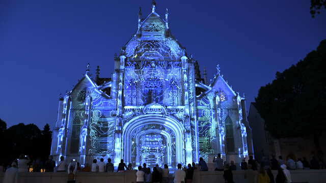 Spectacles de lumières "Couleurs d’amour"
