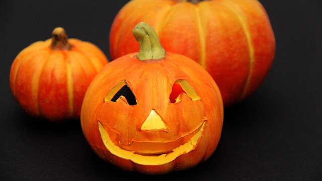 Défilé d'Halloween et verre de la terreur