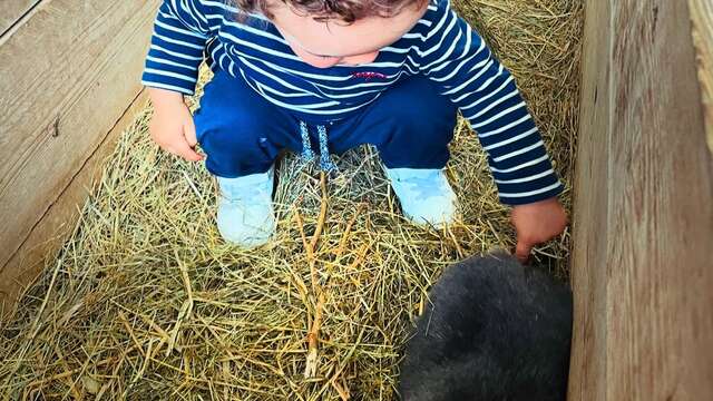 Ferme pédagogique de Craintilleux