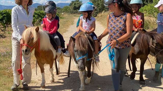 Ferme provençale  LUCKY HORSE : Cheval, nature & bien-être, une autre rencontre du cheval