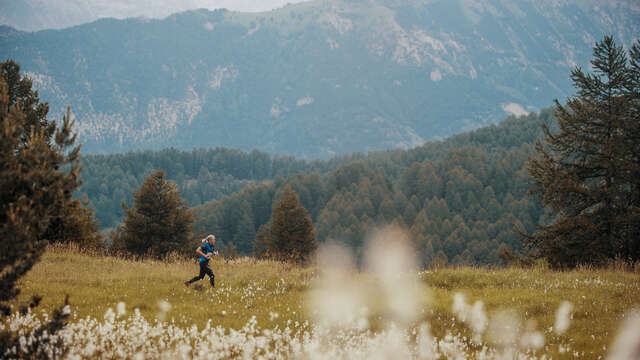 Parcours d'orientations