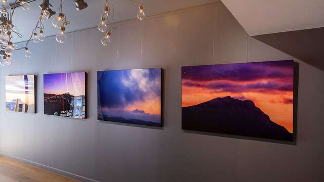 La Gallery - Camille Moirenc