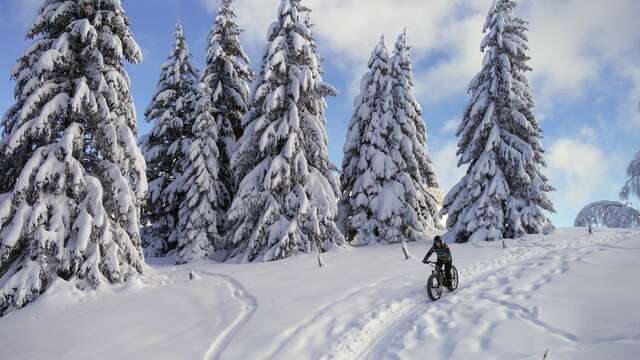 Fatbike électrique : la grande traversée du Revard à la Féclaz