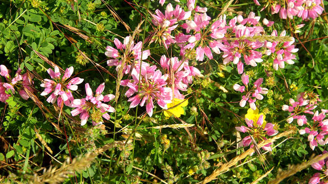 Sortie découverte de la nature