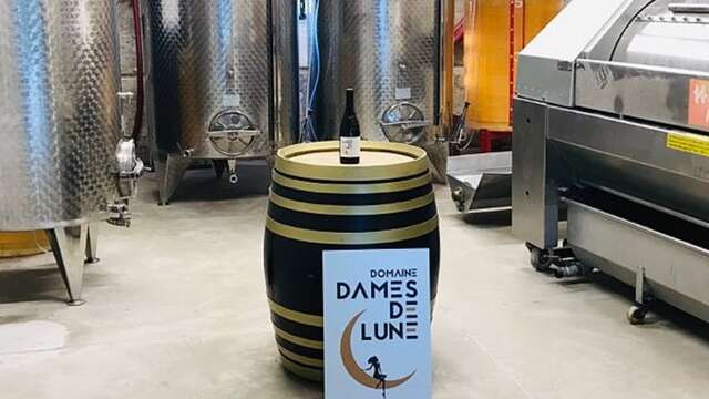 Discovery of the wine cellar - Domaine Dames de Lune