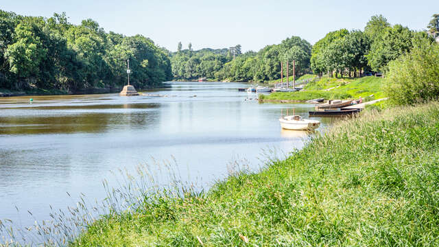 Entre Mayenne et prairies des Basses Vallées Angevines