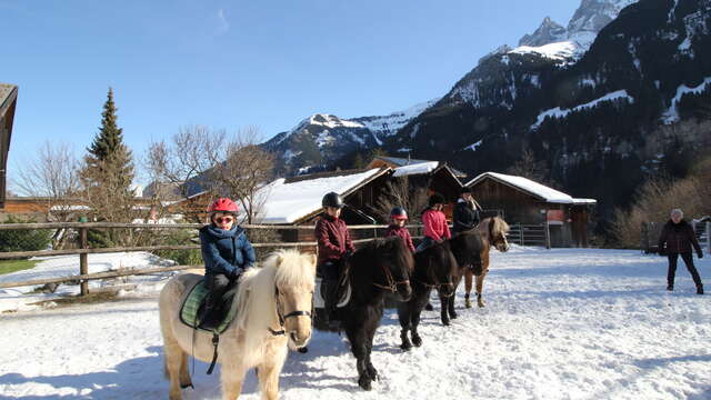 Pony-Reiten