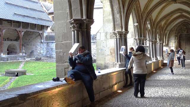 Adult Groups - Professional Tour