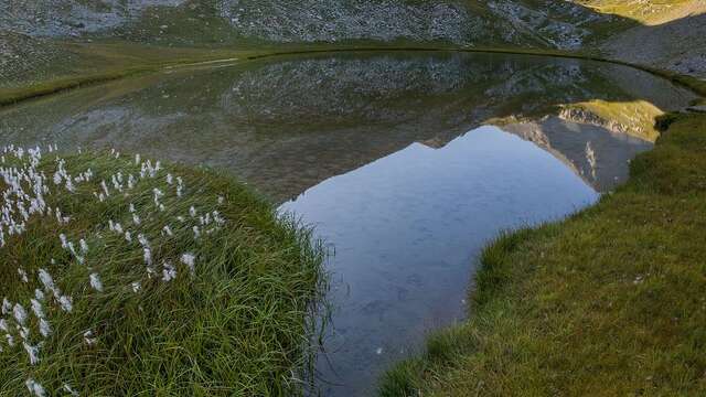 Cols et Lacs de l'Encombrette - Panorama du Lac d'Allos