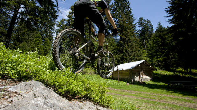 VTT Cross country - Bisanne Les Côtes