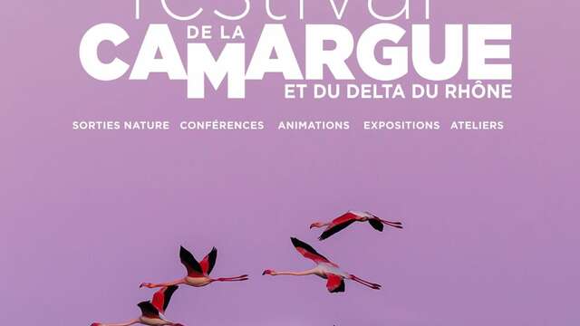 Festival de la Camargue et le Delta du Rhône aux Saintes-Maries-de-la-Mer