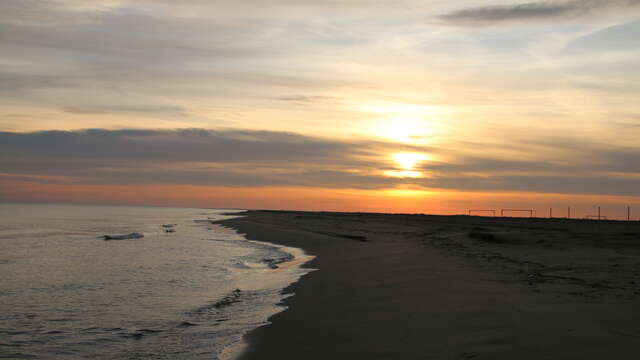 Plage de Beauduc