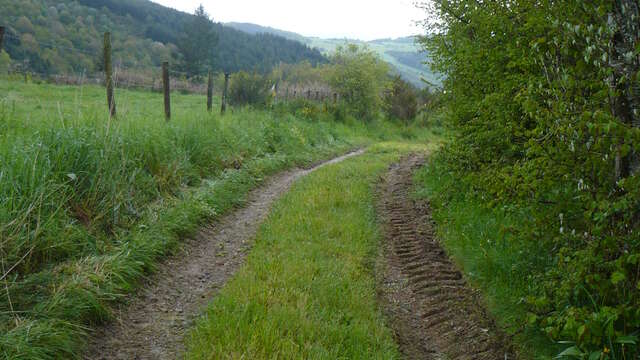 Aire de pique-nique de Crésoilles