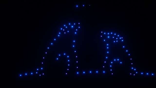 Drone Show