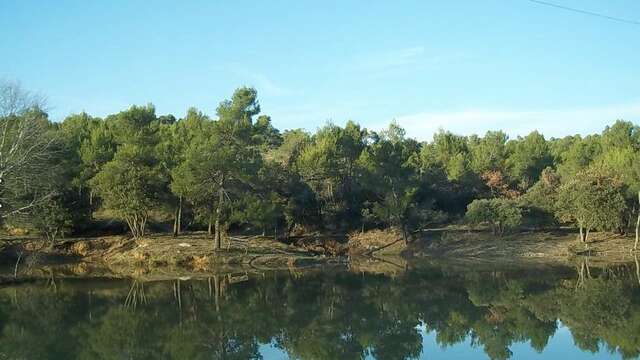 Pêche au Lac de l'Aillade