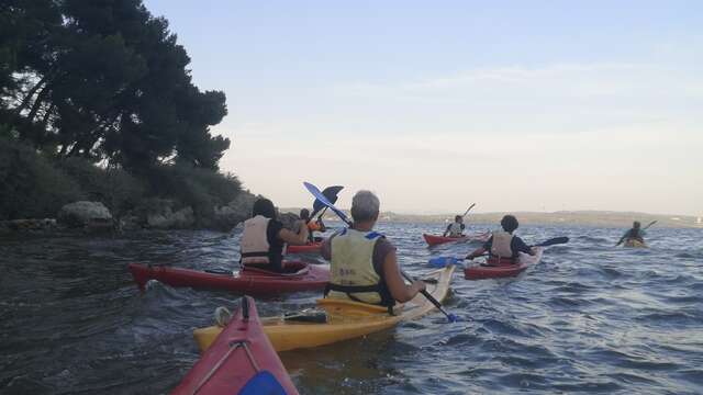 Balade en kayak & découverte de l’étang de Berre