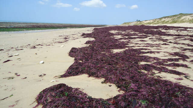 Salida a la naturaleza - Los misterios de la costa