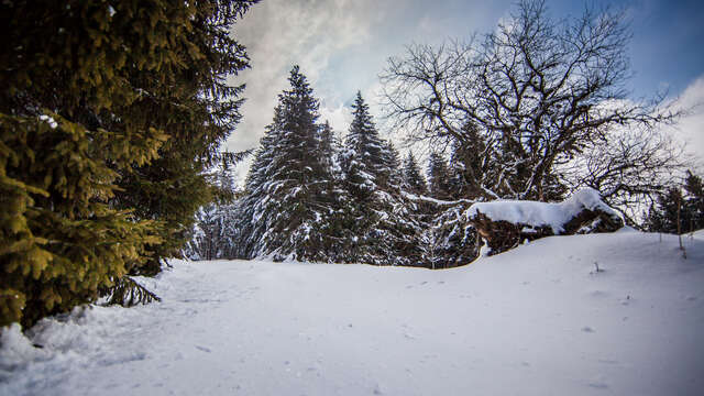 Domaine nordique du col du Béal