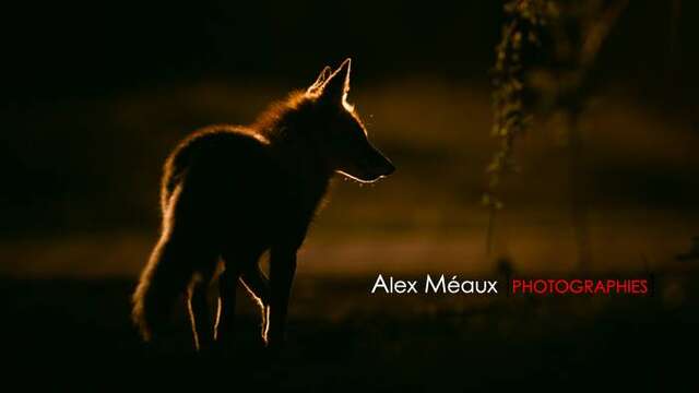 Randonnée Photo journée