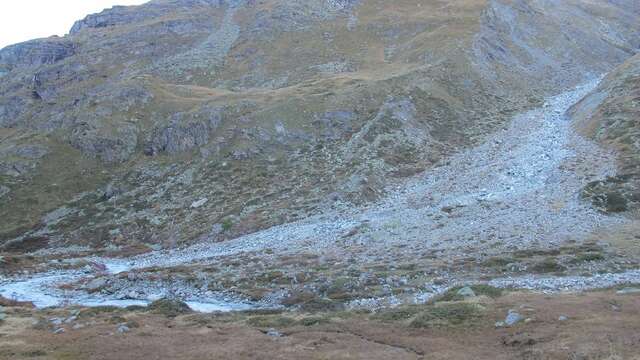 Brenay glacier foreland