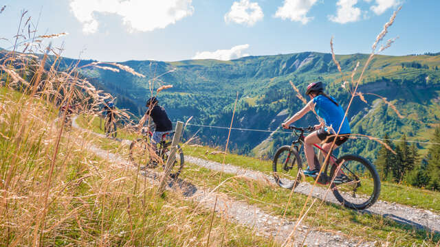 Val d'Arly e-Bike Tour