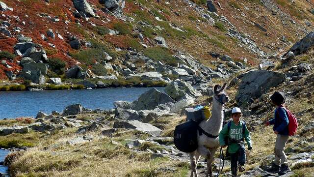Randonnée et Trek avec lamas porteurs