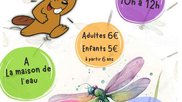 Sortie nature - Libellule et demoiselles, les reines de la rivière