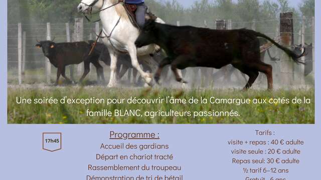 Soirée Camarguaise à la manade Blanc
