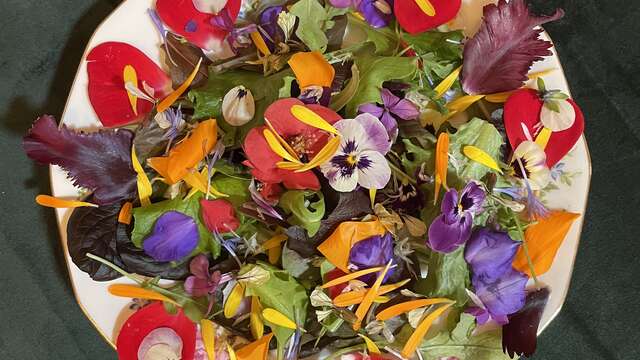Antik’fêtes Ô musée - Éclosion printanière :  Des fleurs à croquer, des plantes à savourer