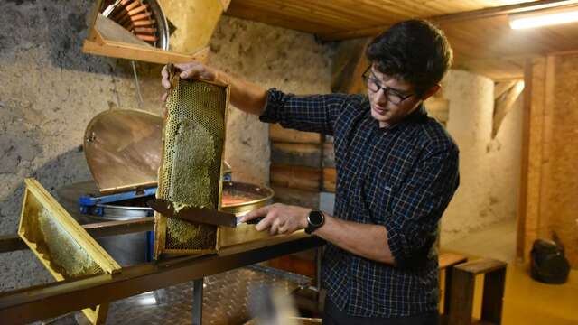 Les Randonnées gourmandes - A la découverte du miel à Saint-Ours