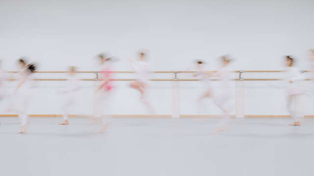 Stage d'été Art de la danse