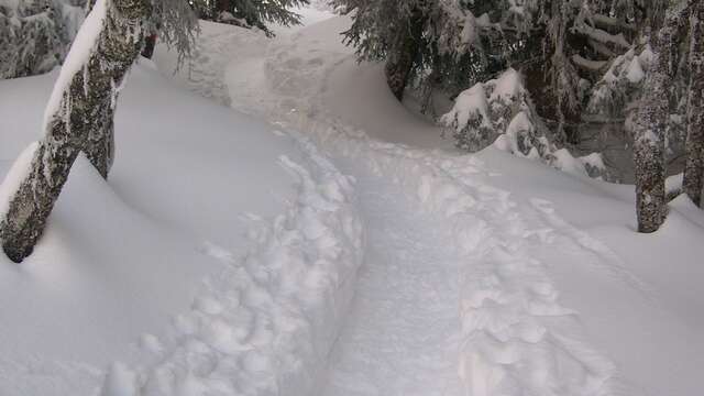 Belvédère de la Croix snowshoe trail