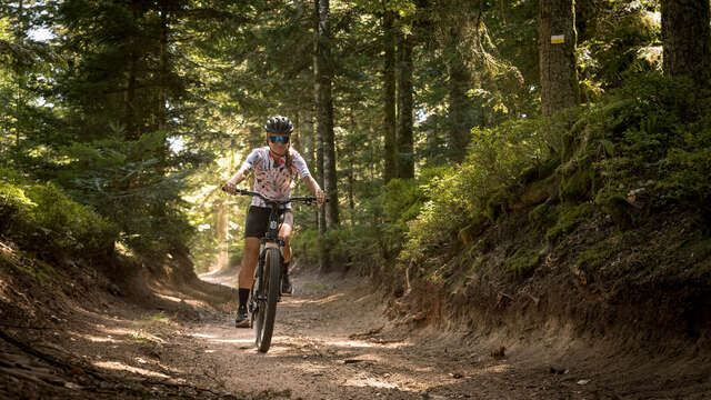 Circuit VTT Les Grands Murcins