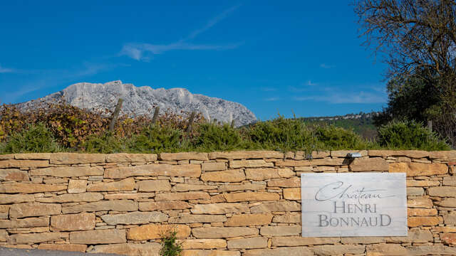 Château Henri Bonnaud