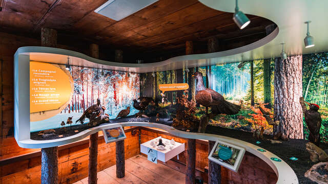 Expositions à la Maison de la Forêt