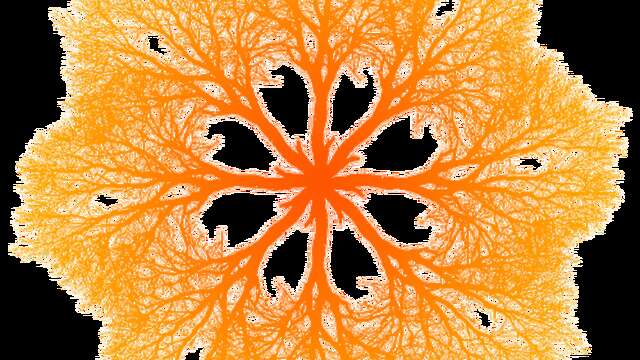 Conférence et démonstration sur les constellations familiales - Le Centre