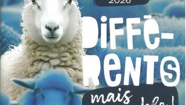 Viens voir on joue - Différents mais ensemble