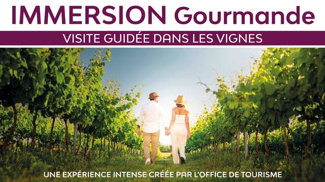 Immersion gourmande : Balade dans les vignes