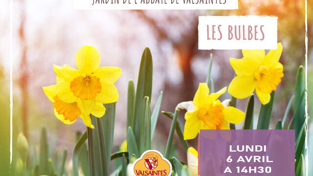 Les bulbes de Valsaintes