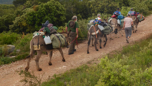 Balade Montclar à la Bréole