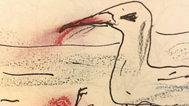 Théâtre : Je suis une mouette