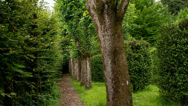 Atelier enfant - Mission arbres remarquables