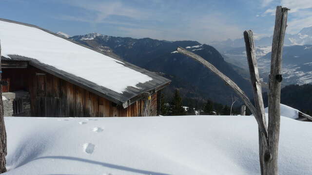 Schneeschuhwanderung "Spaziergang um den Cernix"