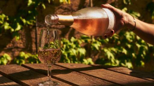 Dégustation au Domaine de la Portanière