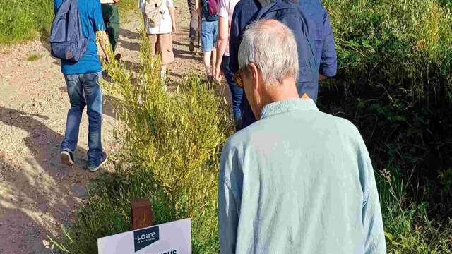 Les rendez-vous nature : MaRando Quiz